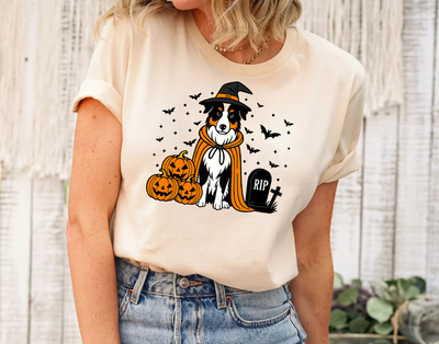 Australian Shepherd Dog Halloween Shirt, Spooky Whippet Witch Shirt, Pumpkin Australian Shepherd Dog, Halloween Dog Lover Gift