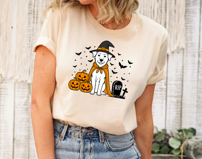 Norwegian Buhund Dog Halloween Shirt, Spooky Whippet Witch Shirt, Pumpkin Norwegian Buhund Dog, Halloween Dog Lover Gift